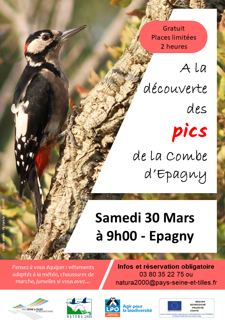 Affiche_Sortie Oiseaux_LPO_Epagny