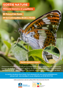 Sortie papillon