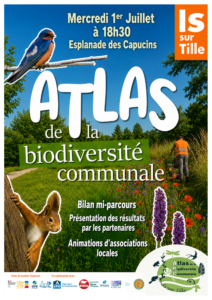 Affiche Bilan mi-parcours-Forum V5