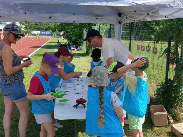 Découverte des insectes dans le cadre de la semaine olympique de la COVATI à destination des scolaires